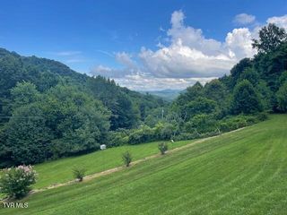 2169 Rice Creek Road, Flag Pond, TN 37657