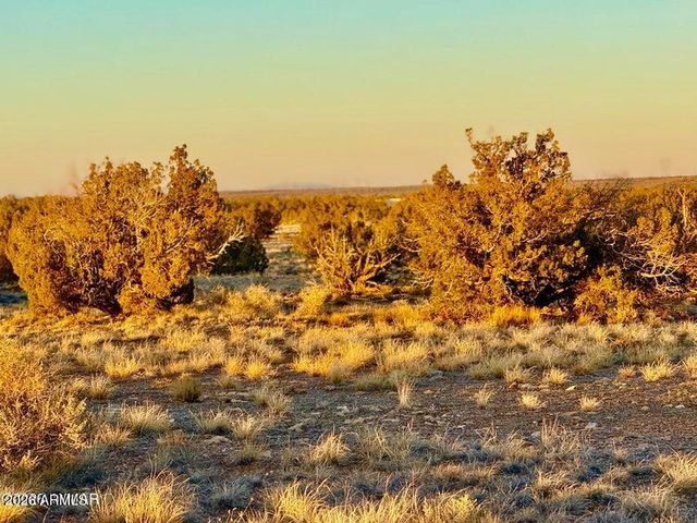 5913 DARK CANYON Drive 97, Heber, AZ 85928