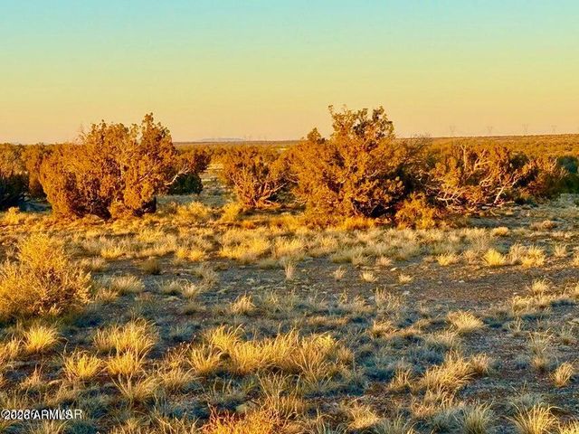 5913 DARK CANYON Drive 97, Heber, AZ 85928