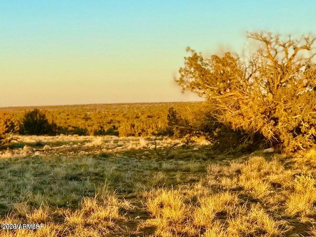 5913 DARK CANYON Drive 97, Heber, AZ 85928