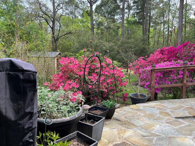 89 Heatley Street, Trinity, TX 75862