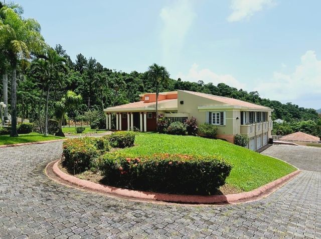 17 RECREO, Caguas, PR 00725