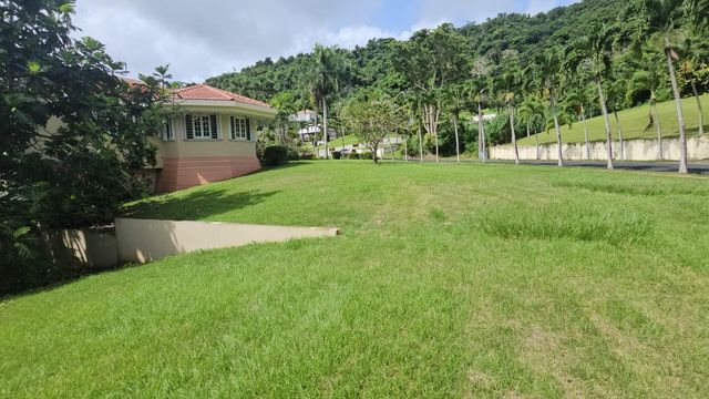 17 RECREO, Caguas, PR 00725