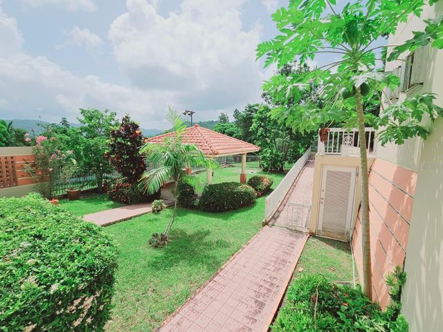 17 RECREO, Caguas, PR 00725