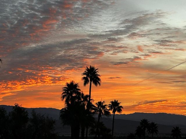 2313 N Janis Drive, Palm Springs, CA 92262