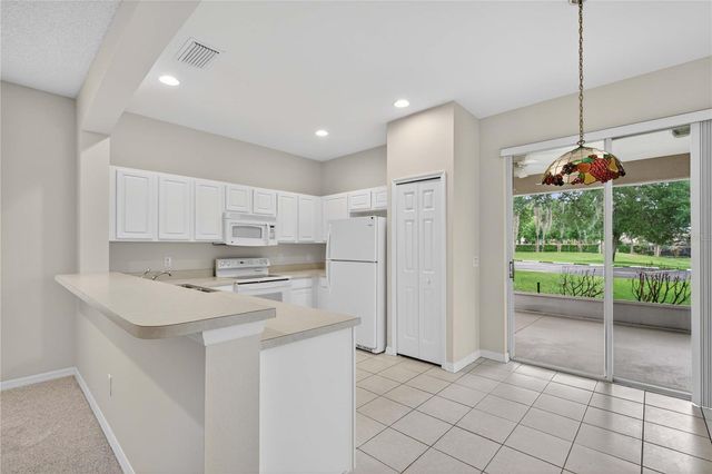 1005 SAINT IVES COURT, Mount Dora, FL 32757