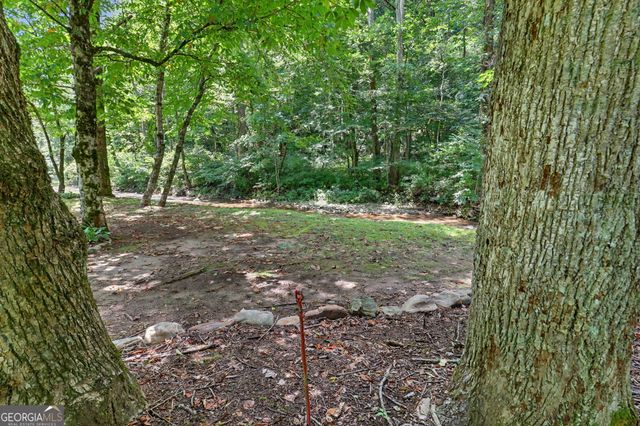 1169 Tate City Road, Clayton, GA 30525