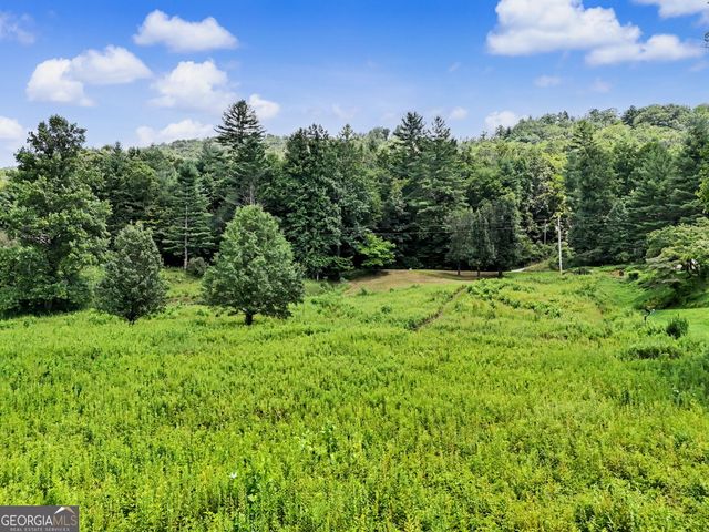 1169 Tate City Road, Clayton, GA 30525