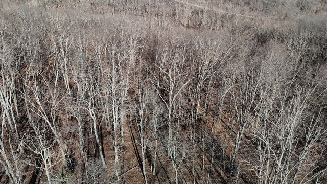 518 Ten Parts Drive, Seymour, MO 65746