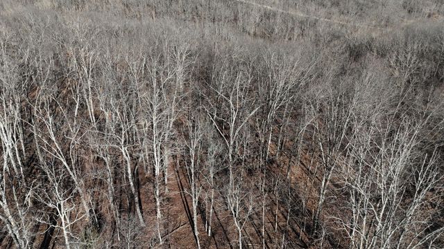 518 Ten Parts Drive, Seymour, MO 65746