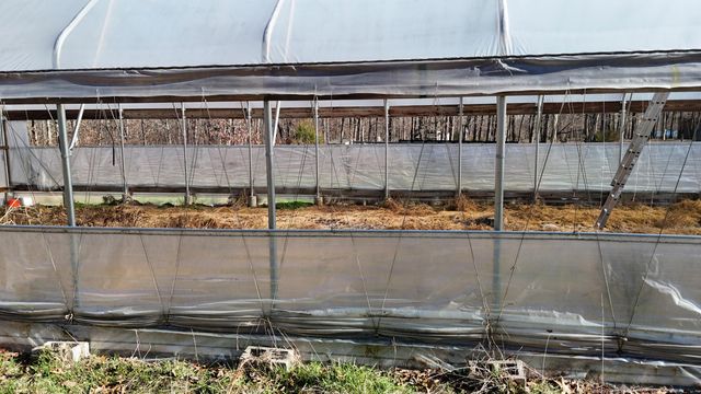 518 Ten Parts Drive, Seymour, MO 65746