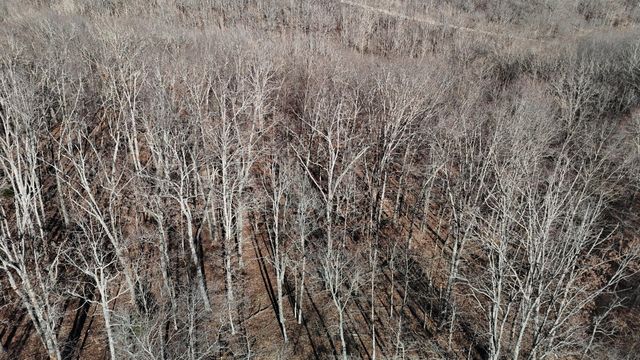 518 Ten Parts Drive, Seymour, MO 65746