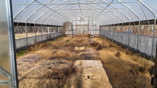 518 Ten Parts Drive, Seymour, MO 65746