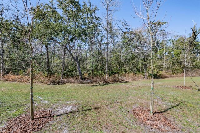 11123 WISHING CLOUD ROAD, Land O Lakes, FL 34638