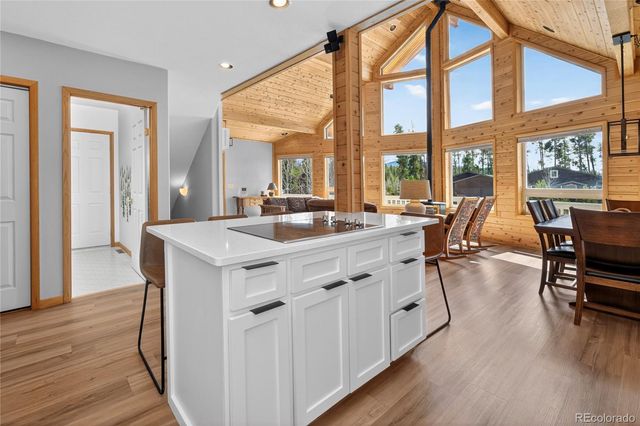 17 County Road 4435, Grand Lake, CO 80447