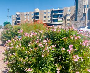 425 S PARKCREST -- 322, Mesa, AZ 85206