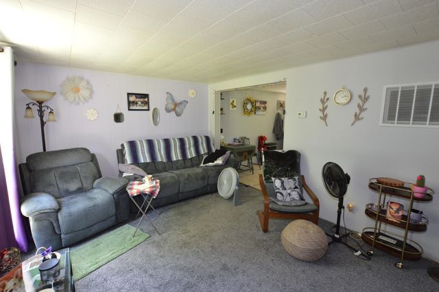 133 Niles Street, Lakeview, MI 48850
