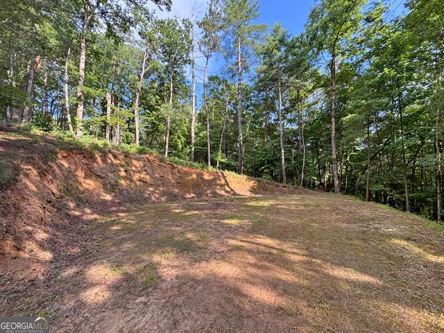 LOT 2329 South Whitepath Circle, Ellijay, GA 30540