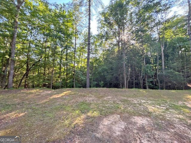 LOT 2329 South Whitepath Circle, Ellijay, GA 30540