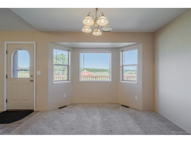 471 Duesouth Rd, Florissant, CO 80816