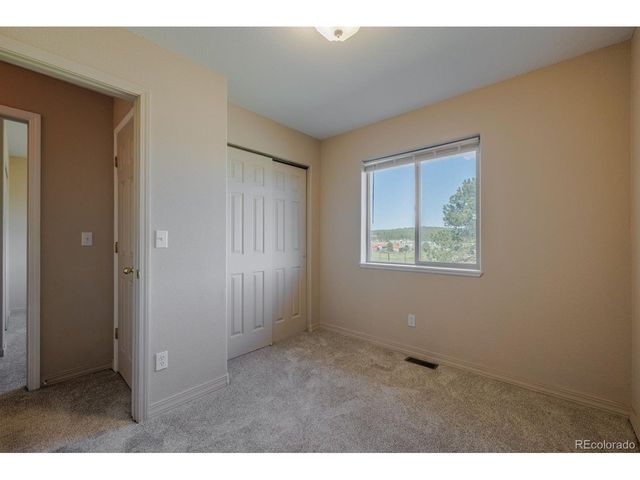 471 Duesouth Rd, Florissant, CO 80816