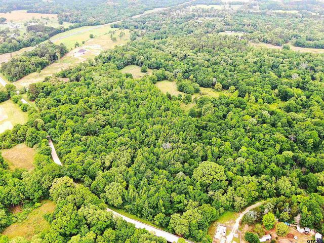 15918 County Road 46, Tyler, TX 75704