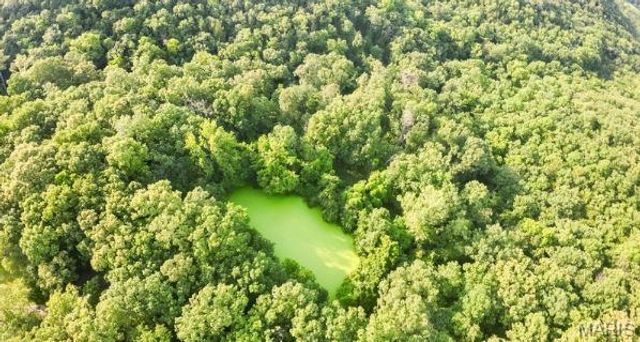 3492 Camp Keown Road, Holts Summit, MO 65043