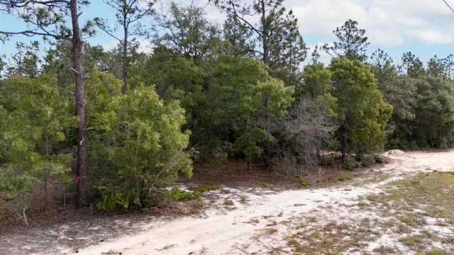 0 Homestead Road, Baker, FL 32531