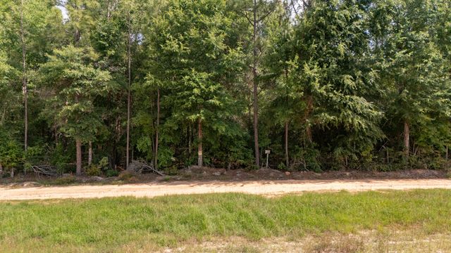 0 Homestead Road, Baker, FL 32531
