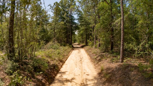 0 Homestead Road, Baker, FL 32531