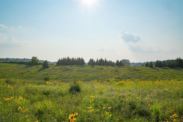 6670 Chaffey Creek Trail, Richland, MI 49083