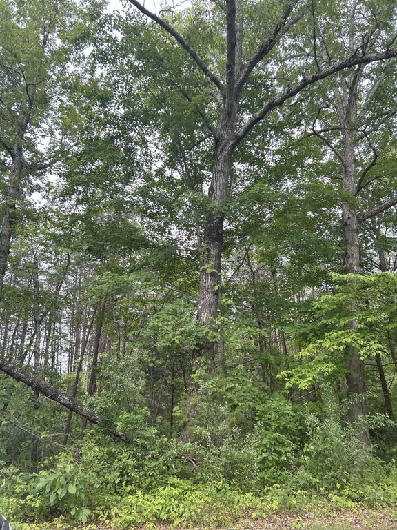 3C Loop Road, Williamsburg, KY 40769