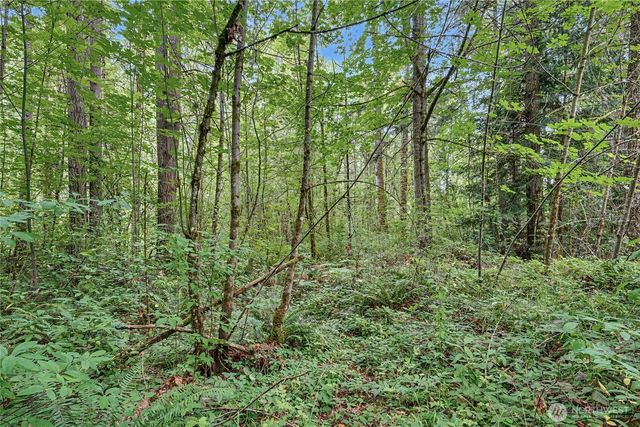 29405 39th Avenue Ct E, Graham, WA 98338