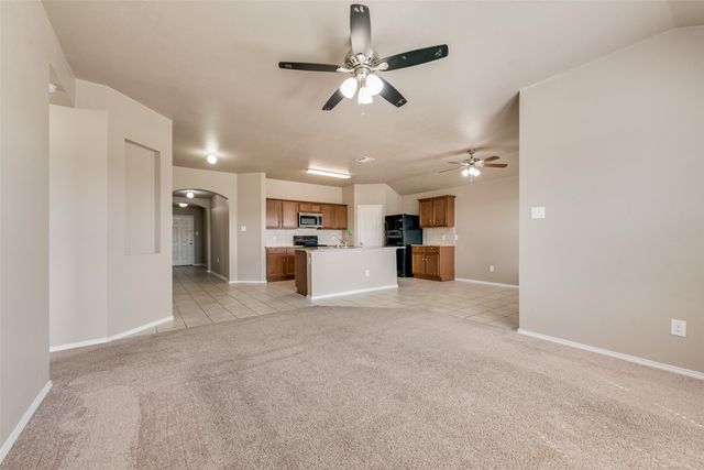 1013 Quartz Trail, Princeton, TX 75407