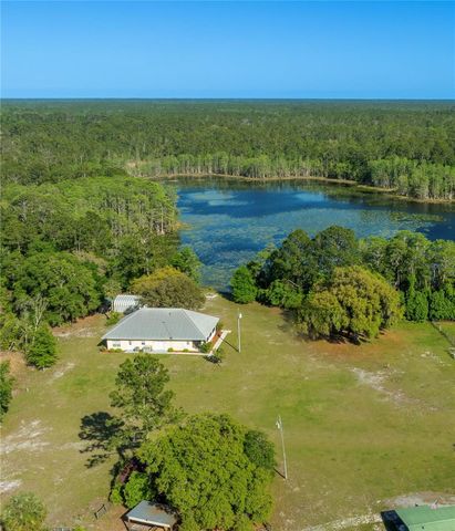 1045 BUCKLES ROAD, Pierson, FL 32180