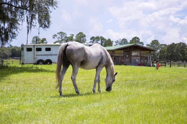 1045 BUCKLES ROAD, Pierson, FL 32180