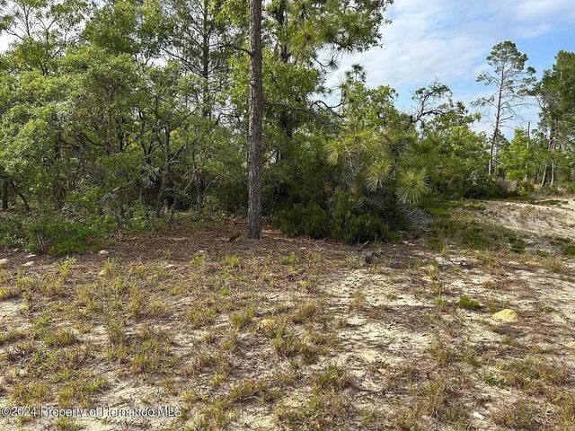 2923 W PINTADO DRIVE, Citrus Springs, FL 34433