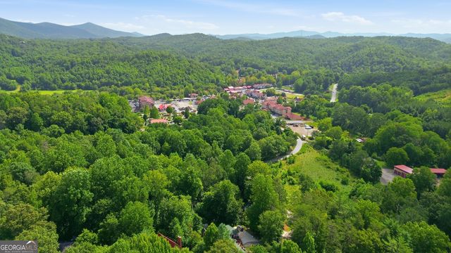 8 Waldheim Strasse Street, Helen, GA 30545