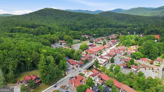 8 Waldheim Strasse Street, Helen, GA 30545