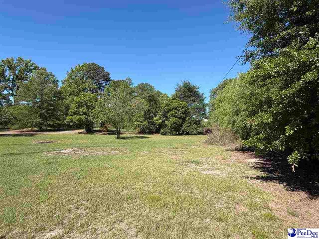 1719 Parkfield Rd, Scranton, SC 29591