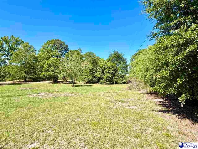 1719 Parkfield Rd, Scranton, SC 29591