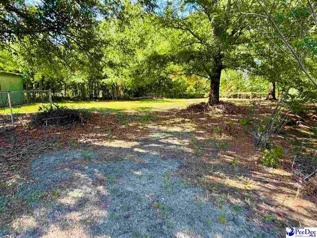 1719 Parkfield Rd, Scranton, SC 29591