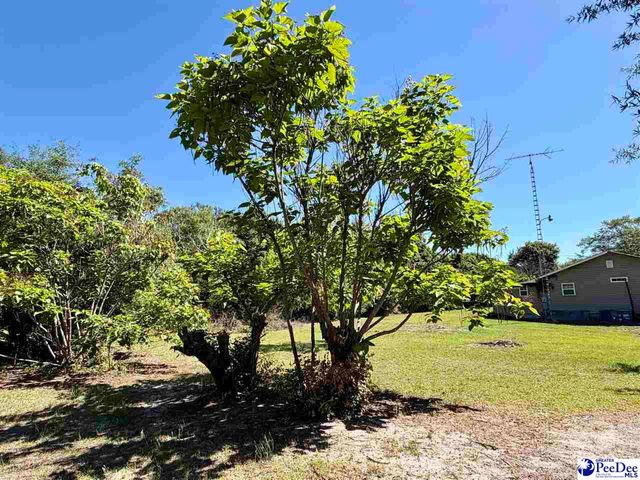 1719 Parkfield Rd, Scranton, SC 29591
