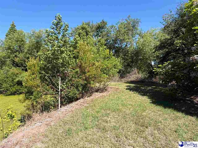 1719 Parkfield Rd, Scranton, SC 29591