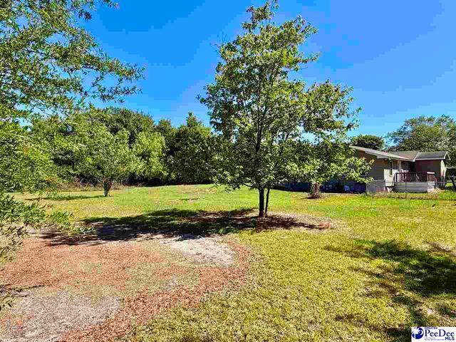 1719 Parkfield Rd, Scranton, SC 29591
