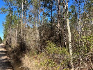 Tract 4 County-Line Road S, Jesup, GA 31545
