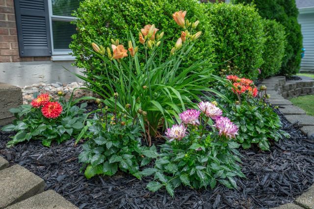 2280 Chesterfield Lane, Batavia Twp, OH 45103