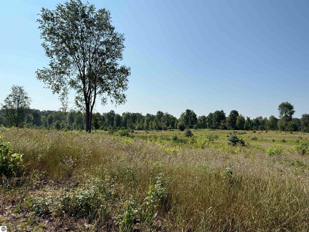 Image 10 of property listing at Parcel A7 S Bright Road, Maple City, MI 49664