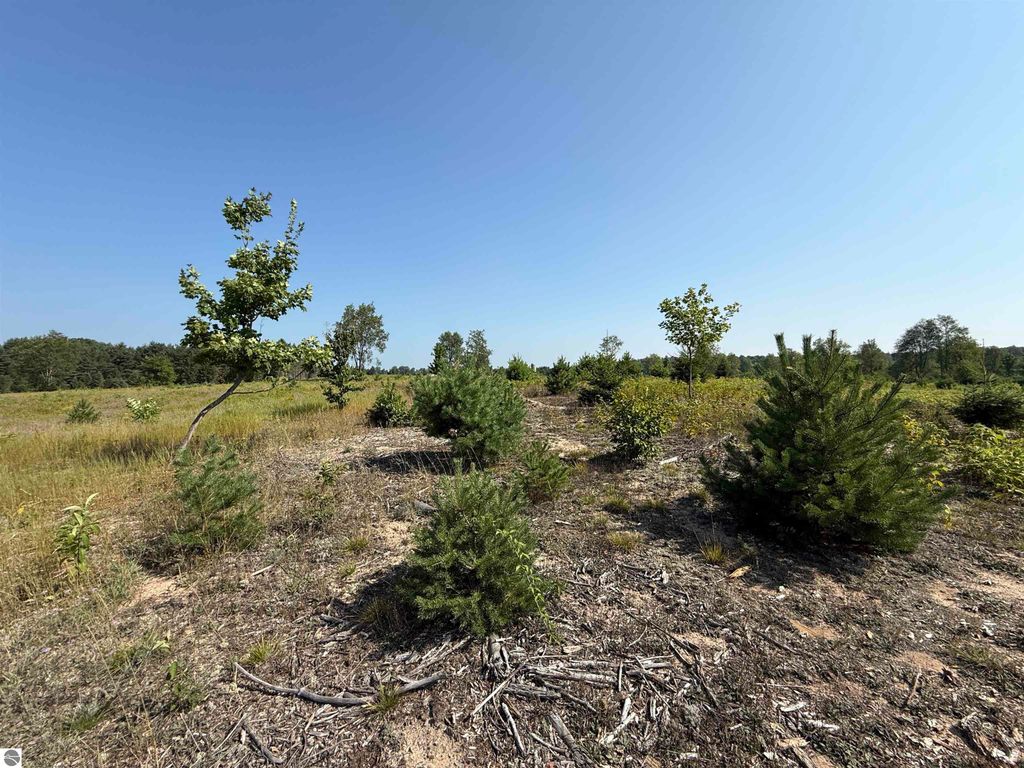 Image 5 of property listing at Parcel A7 S Bright Road, Maple City, MI 49664