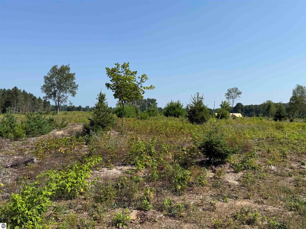 Image 8 of property listing at Parcel A7 S Bright Road, Maple City, MI 49664